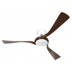 CASAFAN Ventilador de techo eco regento