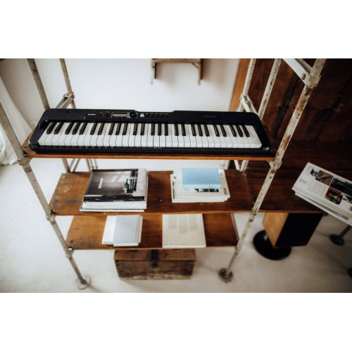 Casio LK-S250