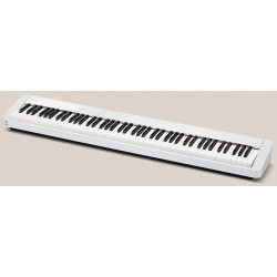 Casio PX-S1100