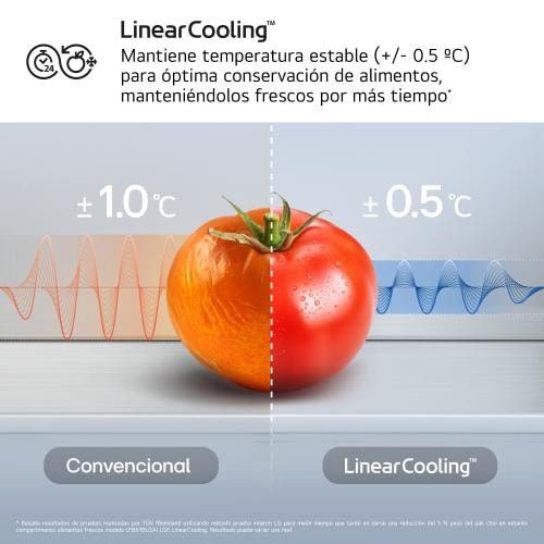 Frigorífico combi LG GBBS322CPY