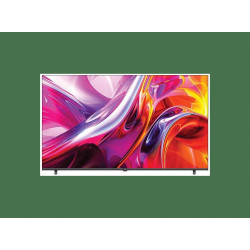 TV LED 55