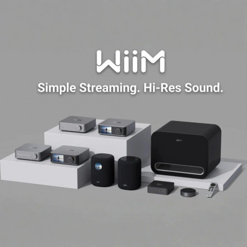Subwoofer WiiM Sub Pro Subwoofer Activo Inalámbrico 250W Clase D WiFi 6 Bluetooth 5.3