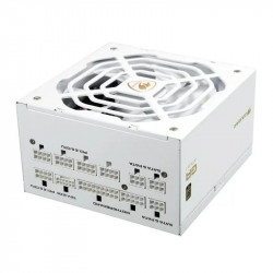 Cougar Fuente Alimentación GR 1000 Snow 80+ Gold