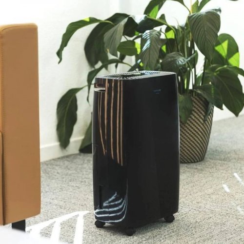 Cecotec Deshumidificador BigDry 4000 Expert Black