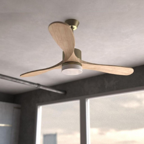 Cecotec EnergySilence Aero 5290 Golden Pro