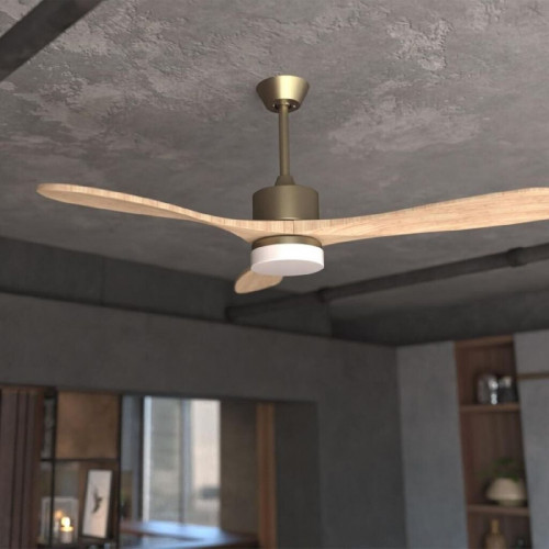 Cecotec EnergySilence Aero 5290 Golden Pro