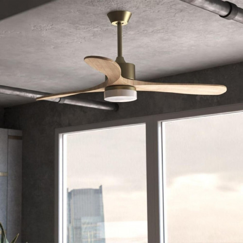 Cecotec EnergySilence Aero 5290 Golden Pro