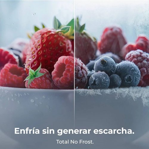 Cecotec Frigorífico Combi 335l No Frost Bolero Coolmarket Combi 335