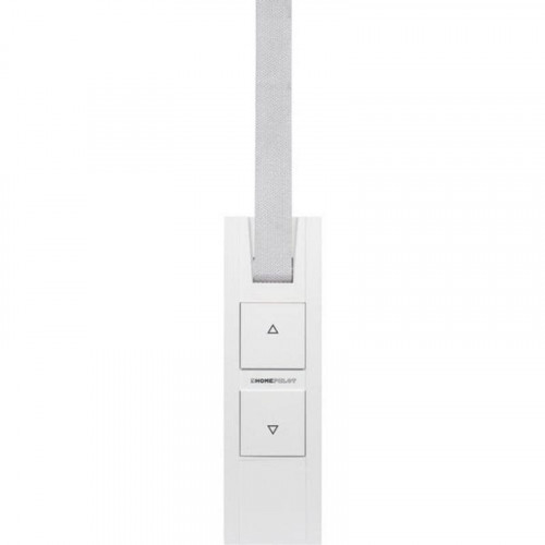 Central domótica Homepilot RolloTron pure smart radio compatible DuoFern