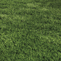 Césped New Piazza X-Tra S40 2x10M Nortene Verde / Marrón