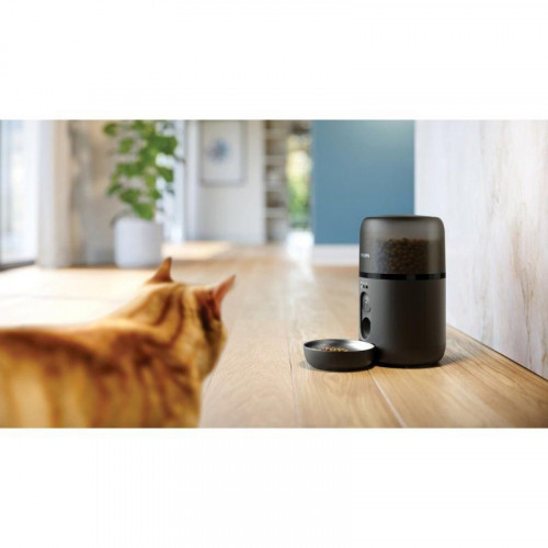 Comedero automático PHILIPS PAW5320/02 inteligente con cámara HD y Wi-Fi