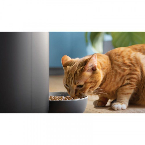 Comedero automático PHILIPS PAW5320/02 inteligente con cámara HD y Wi-Fi