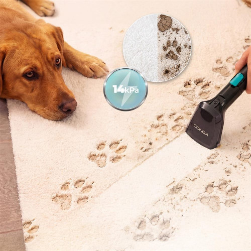 Conga 6000 Carpet&Spot Clean XL Pro