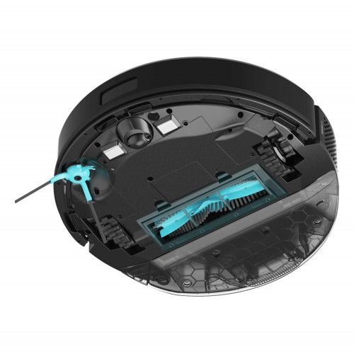 Conga M50 X-Treme