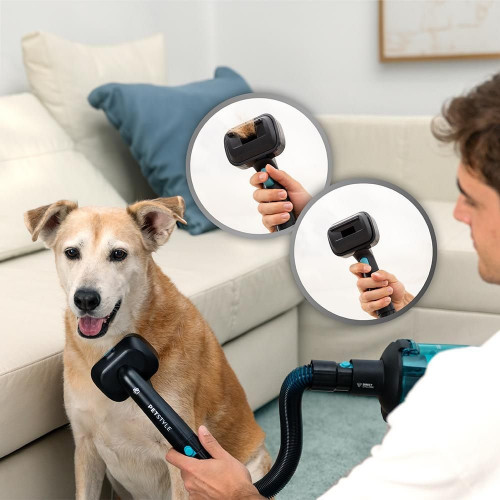 Conga Rockstar RX50 Pet Flex X-Treme