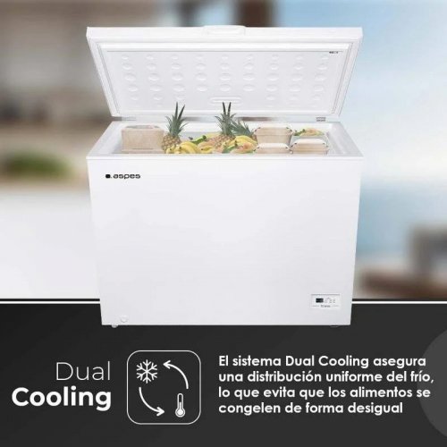 Congelador horizontal Aspes ach3001edc
