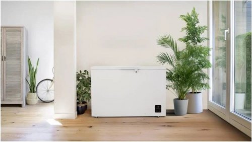 Congelador horizontal Gorenje fh30daw