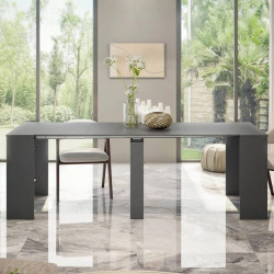 Consola Diluna Mesa de comedor extensible Mesa con extensiones multiusos 10 asientos