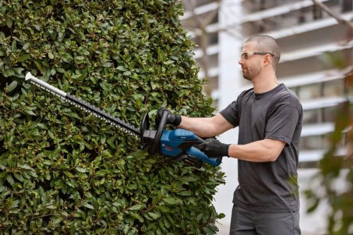 Cortasetos Bosch GHE 18V-50