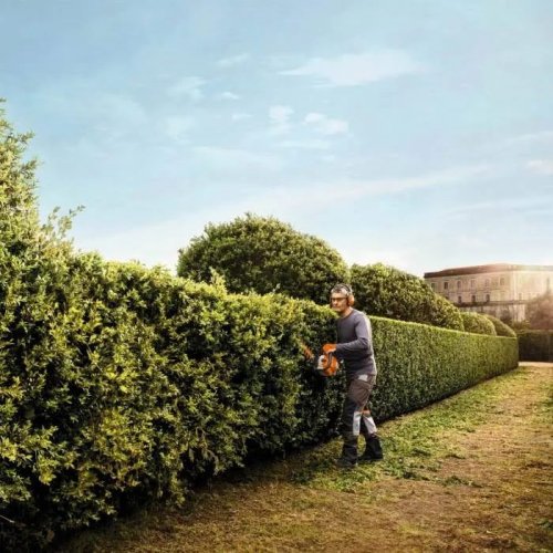 Cortasetos Stihl HS 82 T