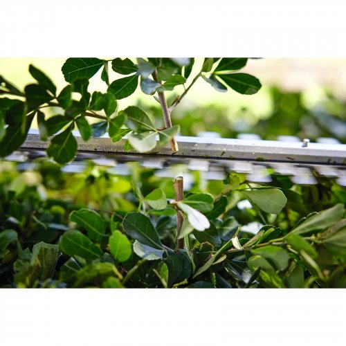 Cortasetos STIHL HSA 40 + 2 Baterías y cargador