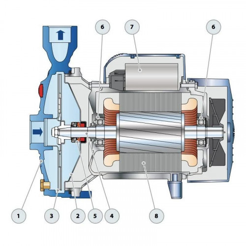 CPm 170 Electrobomba centrífuga monofásica Pedrollo 44ci175a1