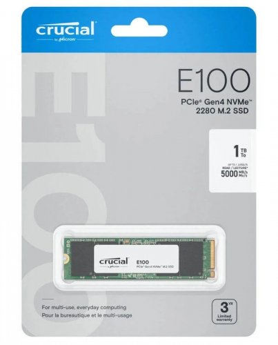 Crucial E100 SSD 2 PCIe 4.0 NVMe