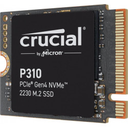 Crucial P310