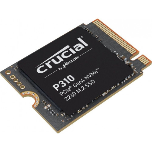Crucial P310