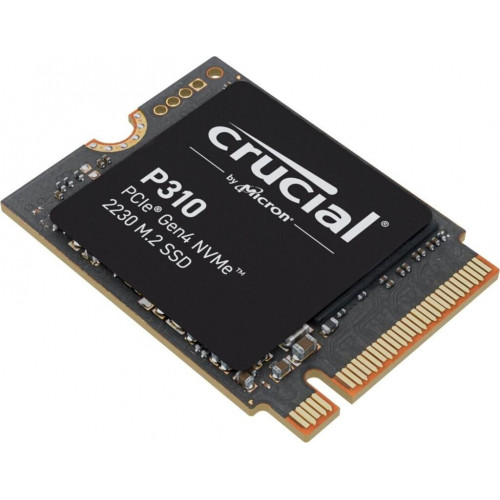 Crucial P310