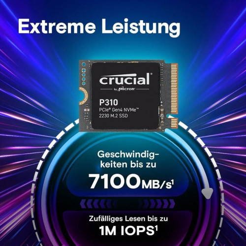 Crucial P310