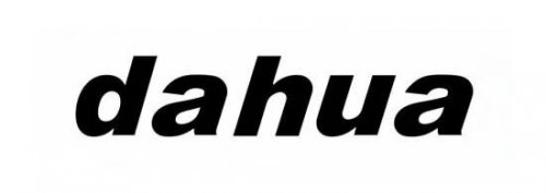 Dahua Ip Camera SD29204DB-GNY-W