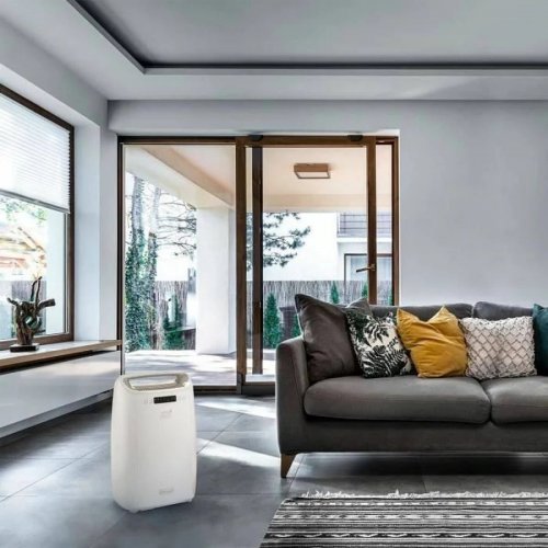 De'Longhi Delonghi dexd214rf Deshumidificador