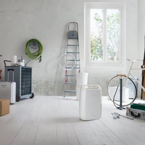 De'Longhi Deshumidificador Delonghi DEX210SF
