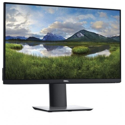 Dell P2419H
