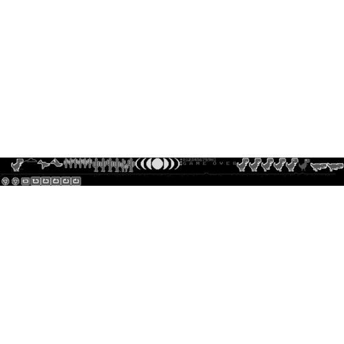 DELL Pro 15 Essential PV15250 Core