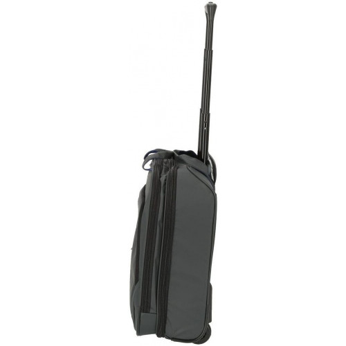 DELSEY PARIS Parvis Plus 2 Wheel Businesstrolley grey (3944459-11)