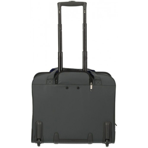 DELSEY PARIS Parvis Plus 2 Wheel Businesstrolley grey (3944459-11)