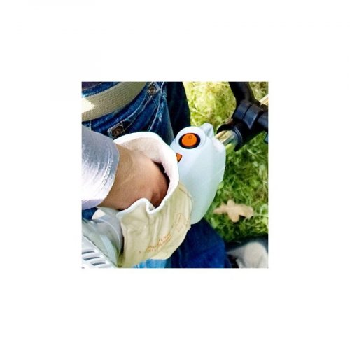 Desbrozadora STIHL FS 55 R