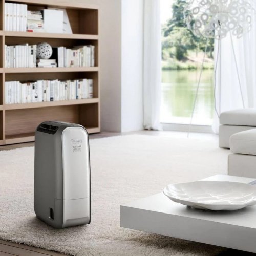Deshumidificador Delonghi DNS80