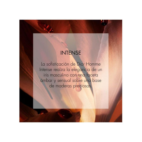 Dior Homme Intense Eau de parfum intense