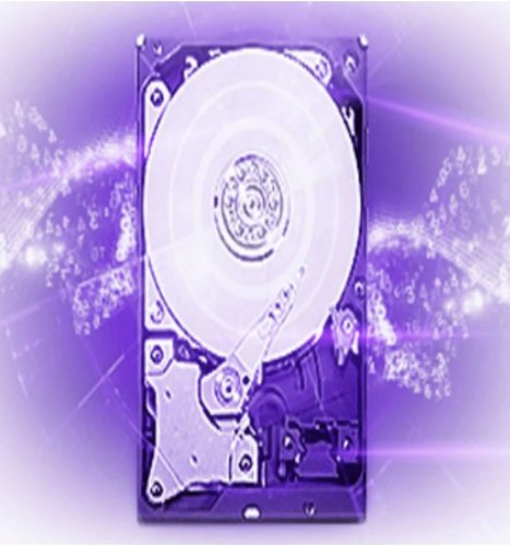 Disco duro de 1tb purple especial para videovigilancia western digital wd10purz