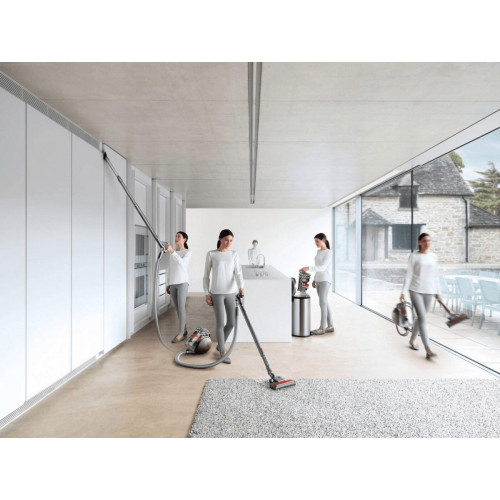 Dyson Cinetic Big Ball Animal Pro 2