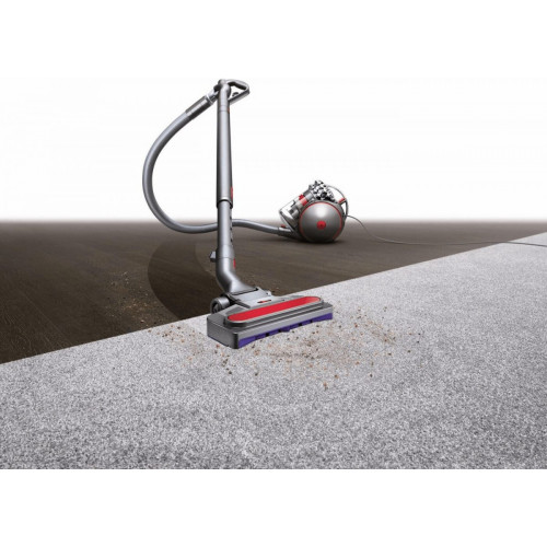 Dyson Cinetic Big Ball Animal Pro 2