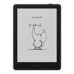 E-Reader ONYX BOOX Go 6
