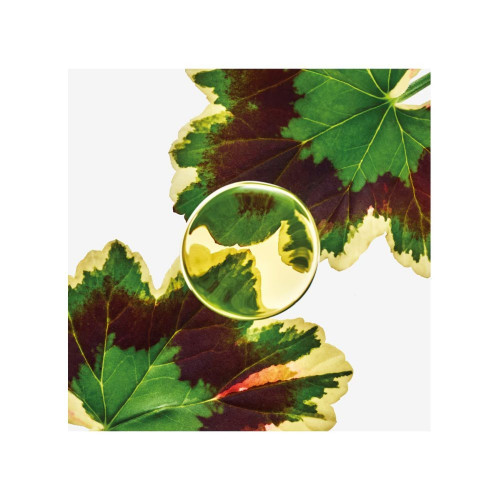 Eau de Parfum Esencia Elixir Loewe