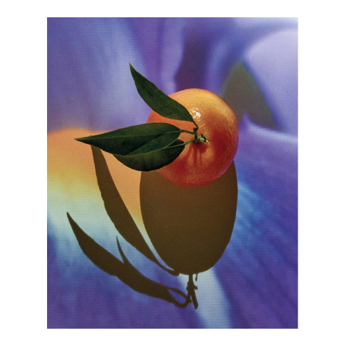 Eau de Parfum Solo Elixir Loewe