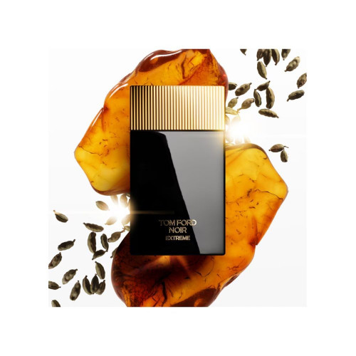 Eau de Parfum Tom Ford Noir Extreme Tom Ford