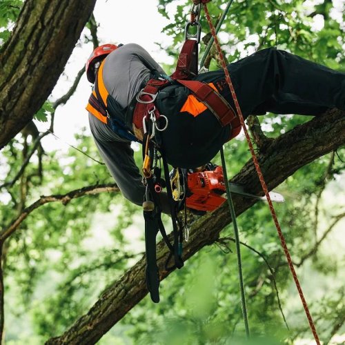 ECHO Motosierra CS-362tes
