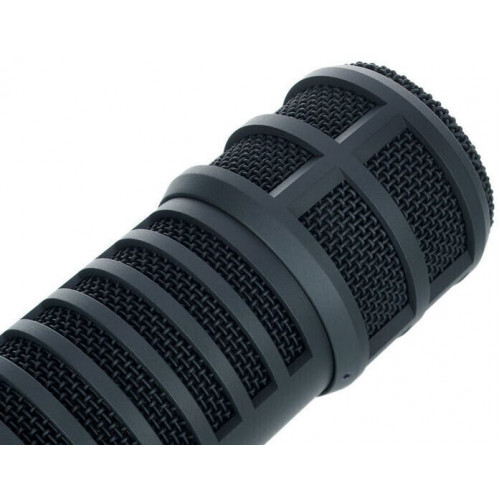 Electro-Voice RE20